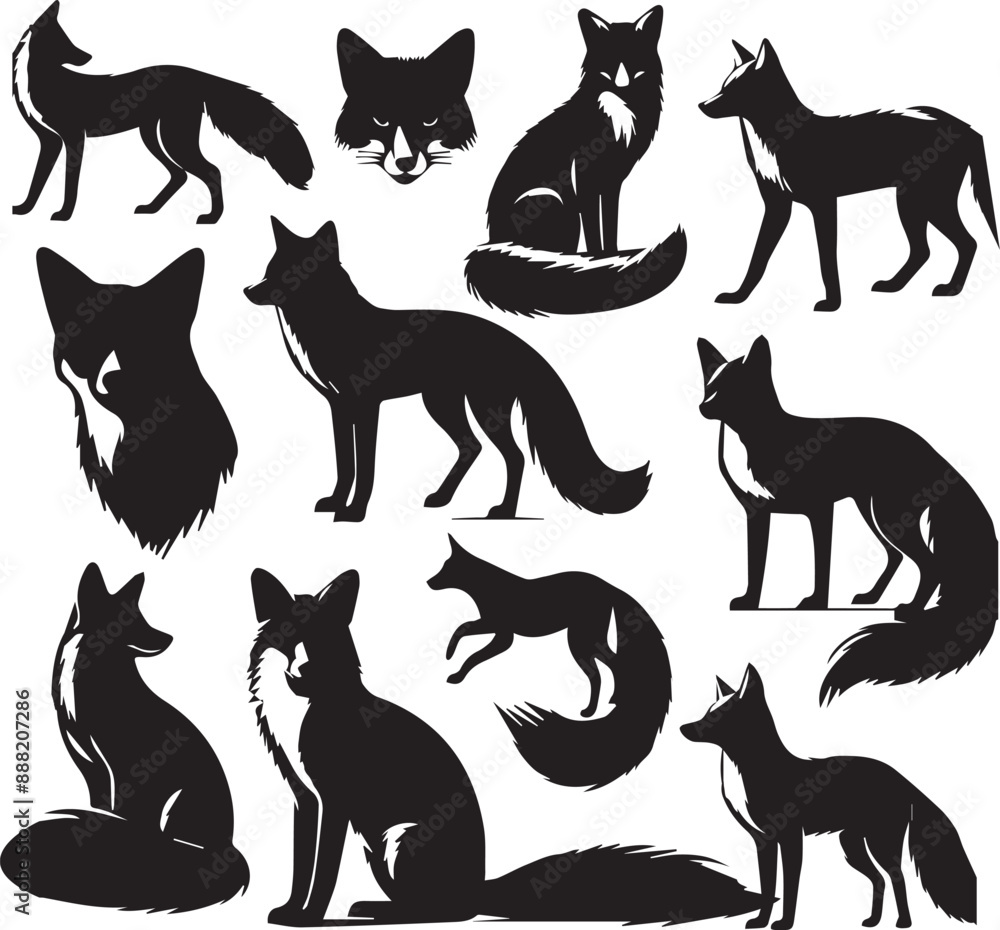 Fox silhouette vectors on a white page high quality high resolution, black color isolated on white background Fox silhouette vectors on a white page high quality high resolution, black color isolated on white background