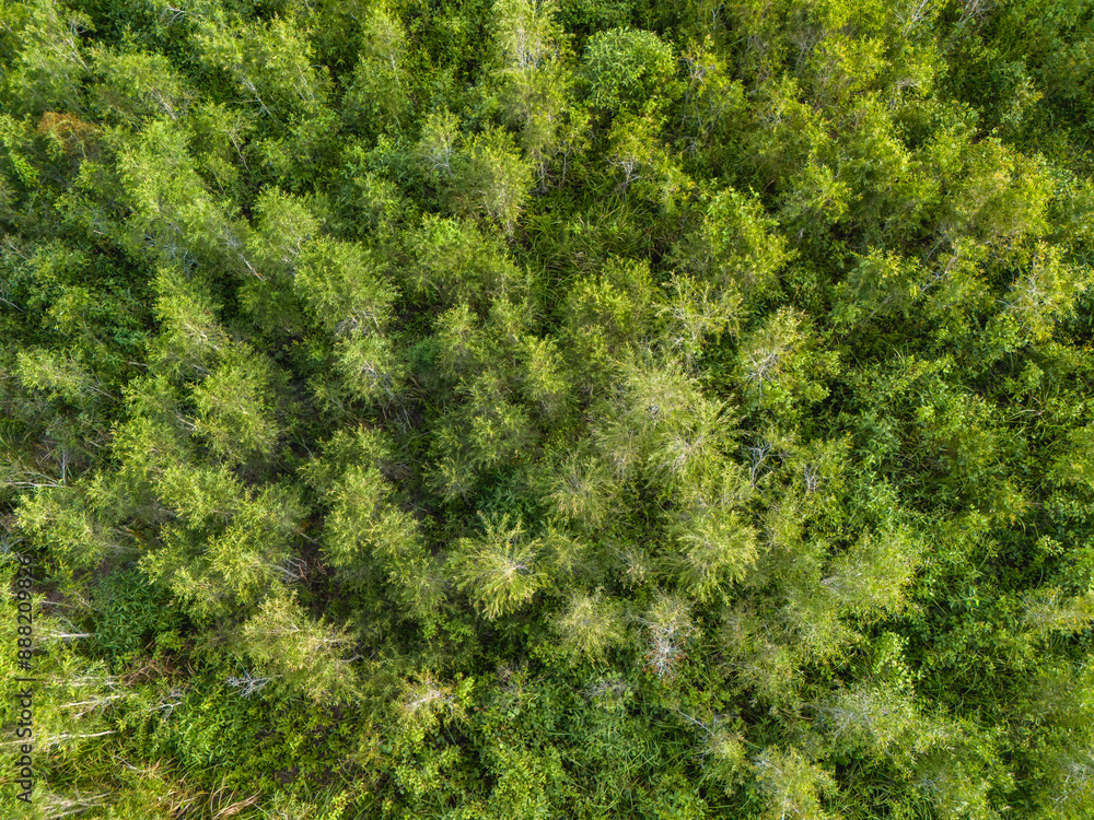 Aerial View of Green Grass Hill in Buru Island, Maluku, Indonesia Aerial View of Green Grass Hill in Buru Island, Maluku, Indonesia