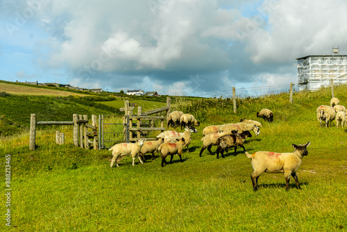 Eine Schöne Wanderung zum Hartland Point mit seinen wunderschönen Leuchturm und eine traumhaften Meerkulisse - Devon - Vereinigtes Königreich photo