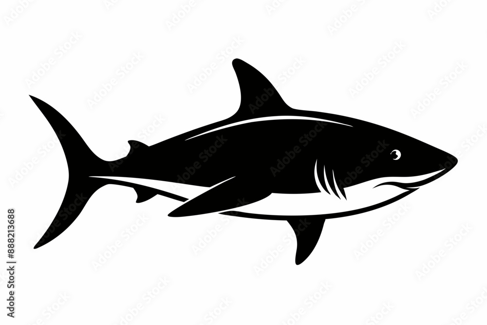 Shark silhouette vector, Silhouette of a shark isolated on white background
Shark silhouette vector, Silhouette of a shark isolated on white background