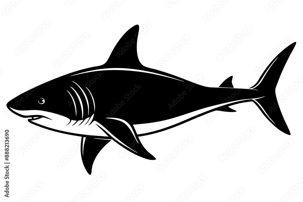 Shark silhouette vector, Silhouette of a shark isolated on white background
Shark silhouette vector, Silhouette of a shark isolated on white background