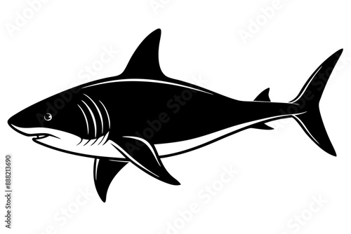 Shark silhouette vector, Silhouette of a shark isolated on white background

