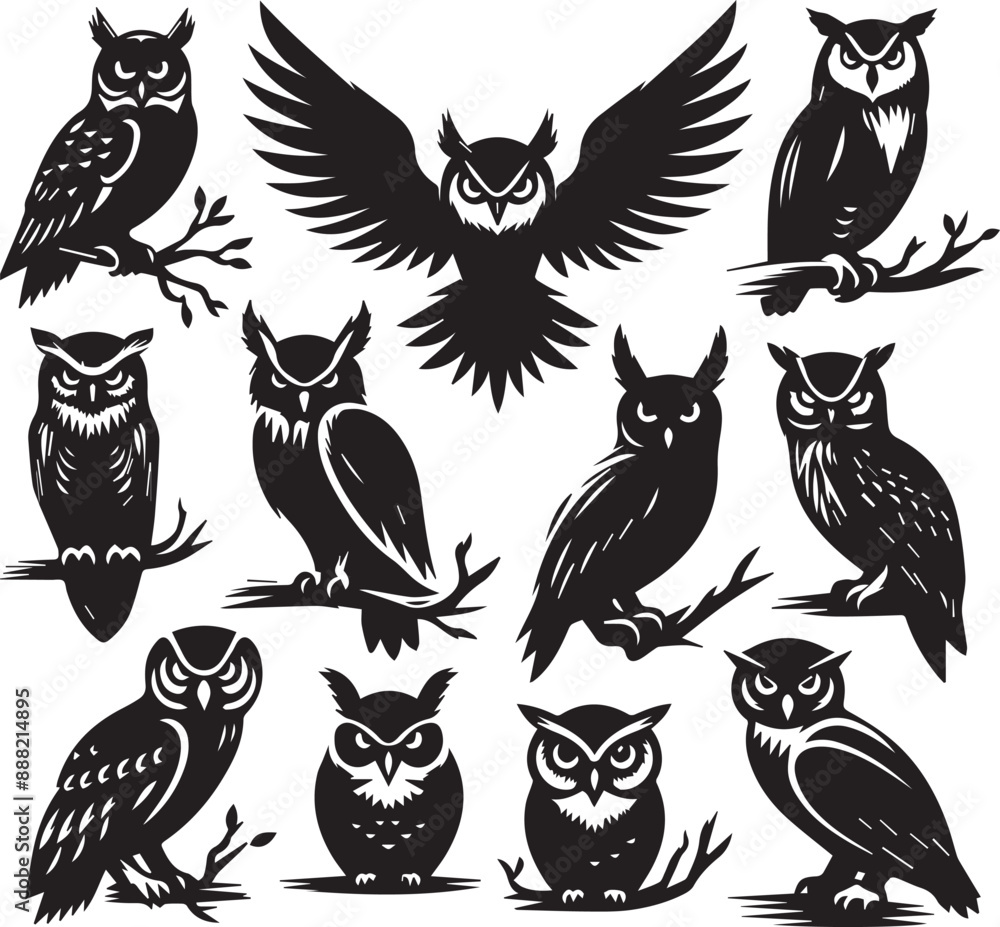 owl silhouette vectors on a white page high quality high resolution, black color isolated on white background owl silhouette vectors on a white page high quality high resolution, black color isolated on white background