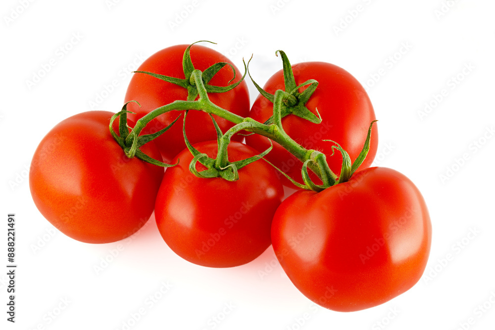 Red, fresh tomatoes on a branch isolated on a white background. Full depth of field. Red, fresh tomatoes on a branch isolated on a white background. Full depth of field.