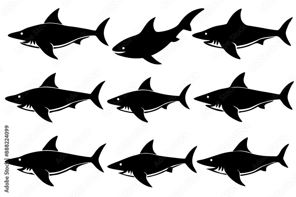 Shark silhouette vector set, Set of shark Silhouette isolated on white background
Shark silhouette vector set, Set of shark Silhouette isolated on white background