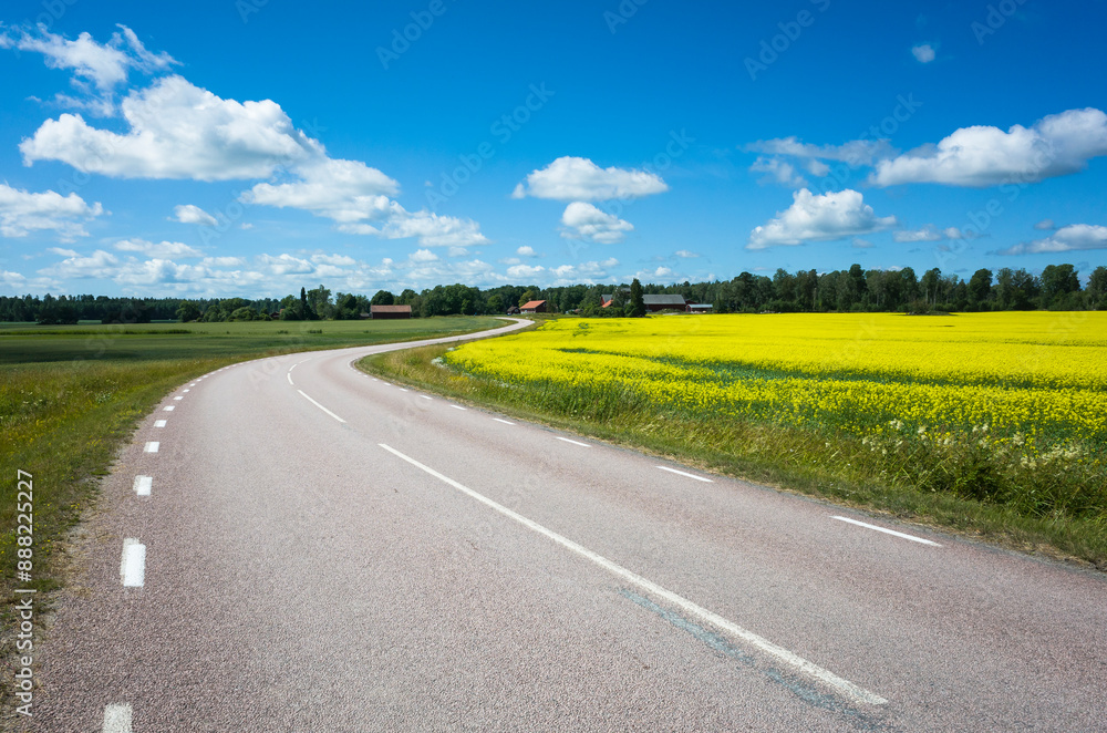Rural landscape of Scandinavia, Yellow field, empty road, farm houses in a distance under blue sky with white fluffy clouds on summer sunny day, Västmanland, Sweden Rural landscape of Scandinavia, Yellow field, empty road, farm houses in a distance under blue sky with white fluffy clouds on summer sunny day, Västmanland, Sweden