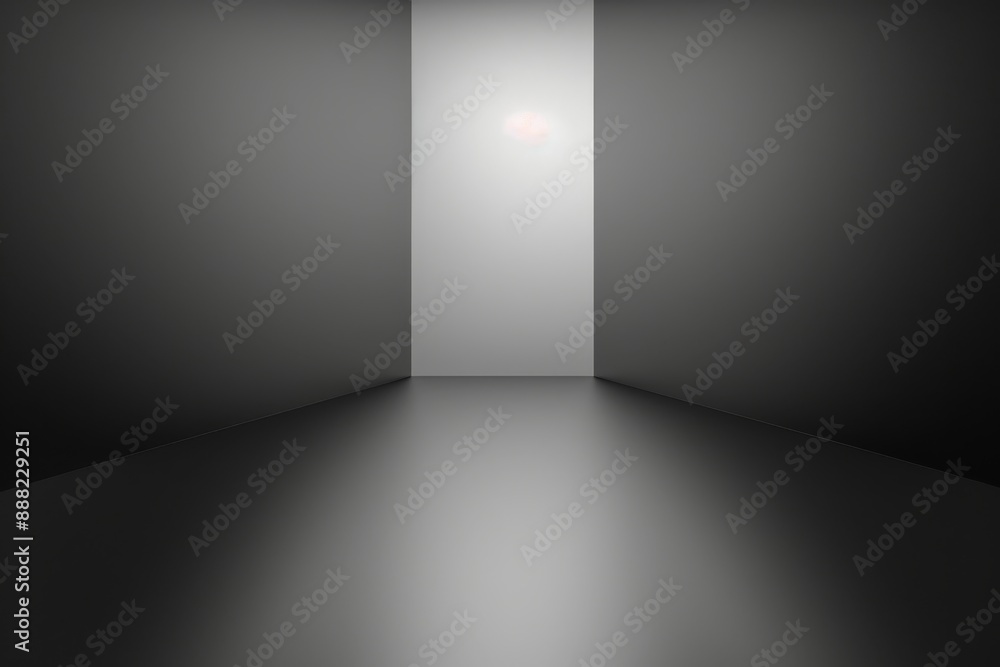 Abstract black and white gradient backdrop in studio room Abstract black and white gradient backdrop in studio room