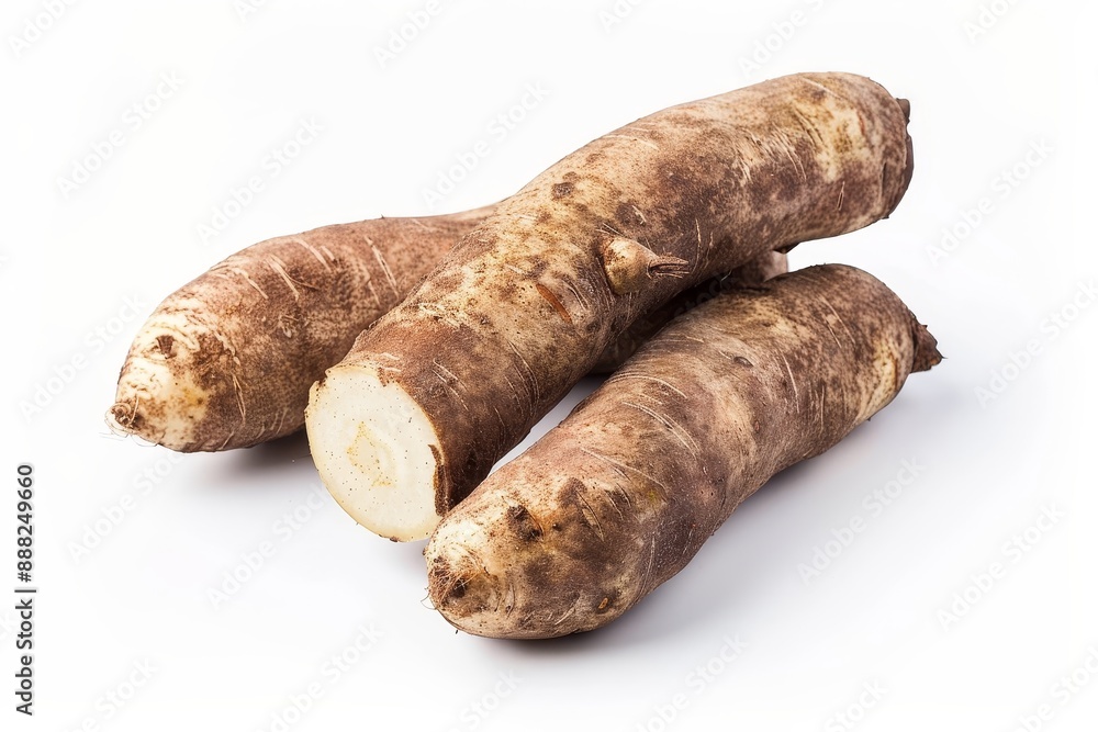 Cassava and yam tropical roots with good carbs Image shows cassava on white background Cassava and yam tropical roots with good carbs Image shows cassava on white background