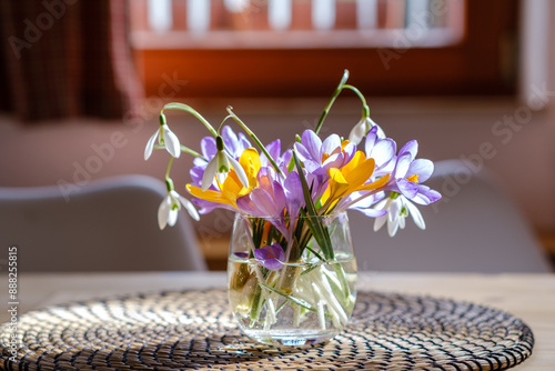 Obraz na płótnie Bouquet of purple crocus in vase. Spring flowers in a vase. w salonie