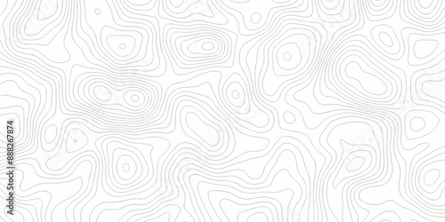 Vector white wave line geography landscape Topo contour map on white background. Geographic mountain relief diagram line wave carve pattern. Topographic world map contour lines map texture. © MdLothfor