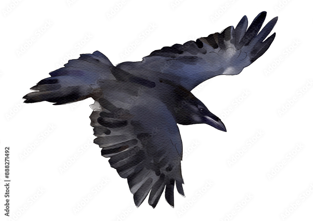 Obraz premium A black raven in flight with open wings. Watercolor image. Black bird.