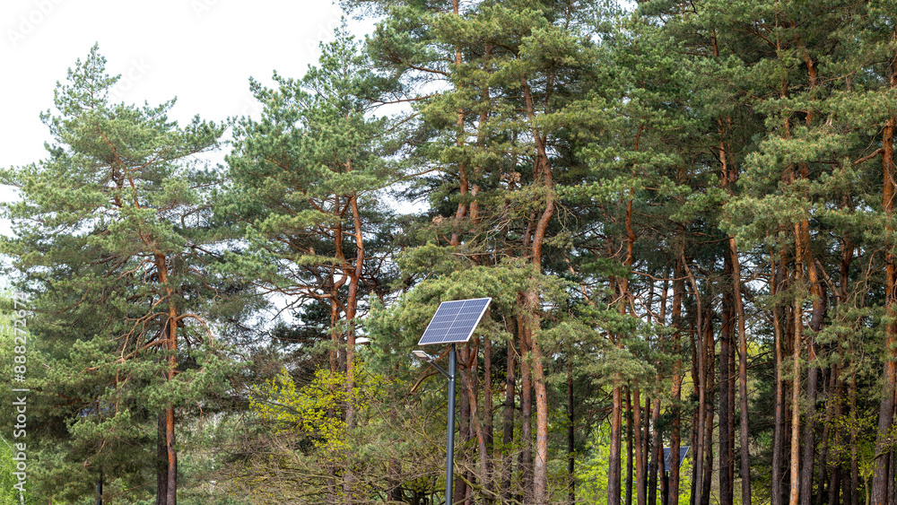 A park lamp powered by photovoltaic panels against the background of a pine forest