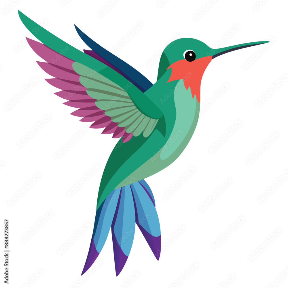 Colorful Humming bird Colorful Humming bird
