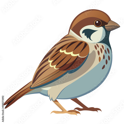 House sparrow (Passer domestics) adult male, Ile de France, France