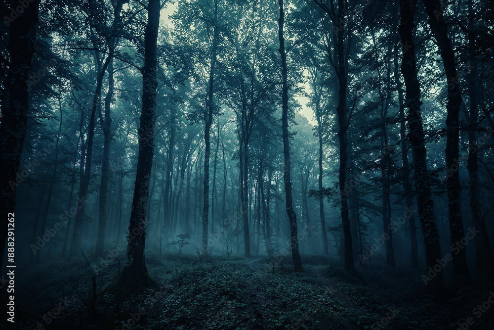 Obraz premium A dark forest with trees and a foggy atmosphere