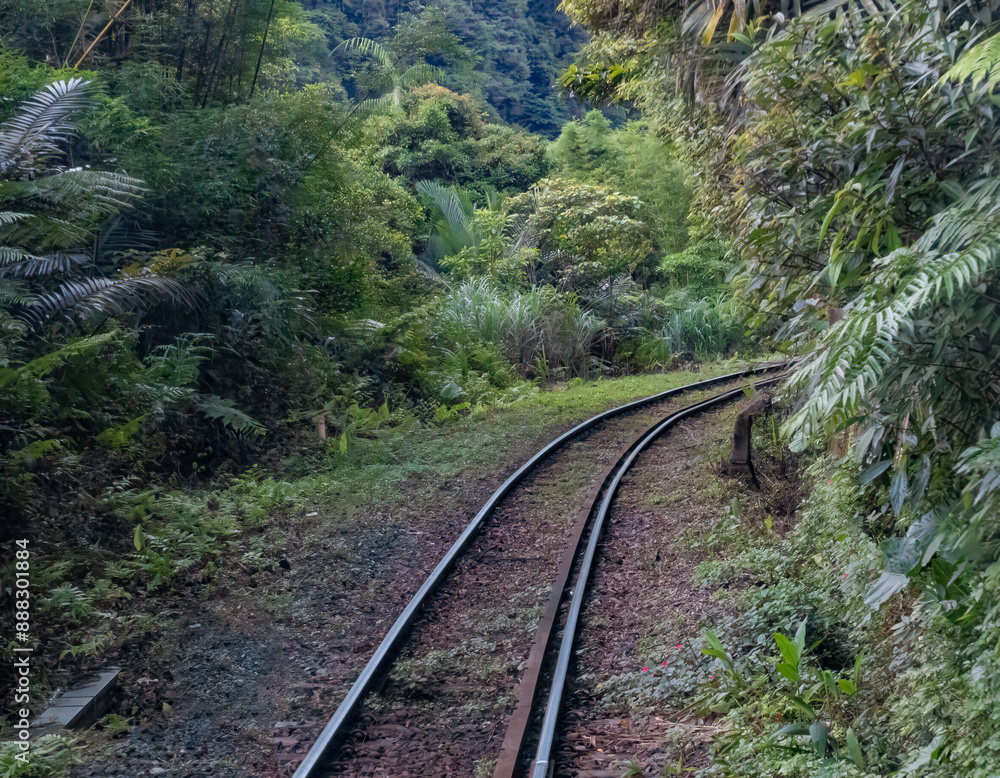 Railroad track through lush tropical rainforests between Shifen and Ruifang, Pingxi district, New Taipei City, Taiwan Railroad track through lush tropical rainforests between Shifen and Ruifang, Pingxi district, New Taipei City, Taiwan