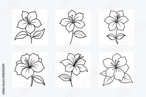 Hibiscus flower line art vector illustration.