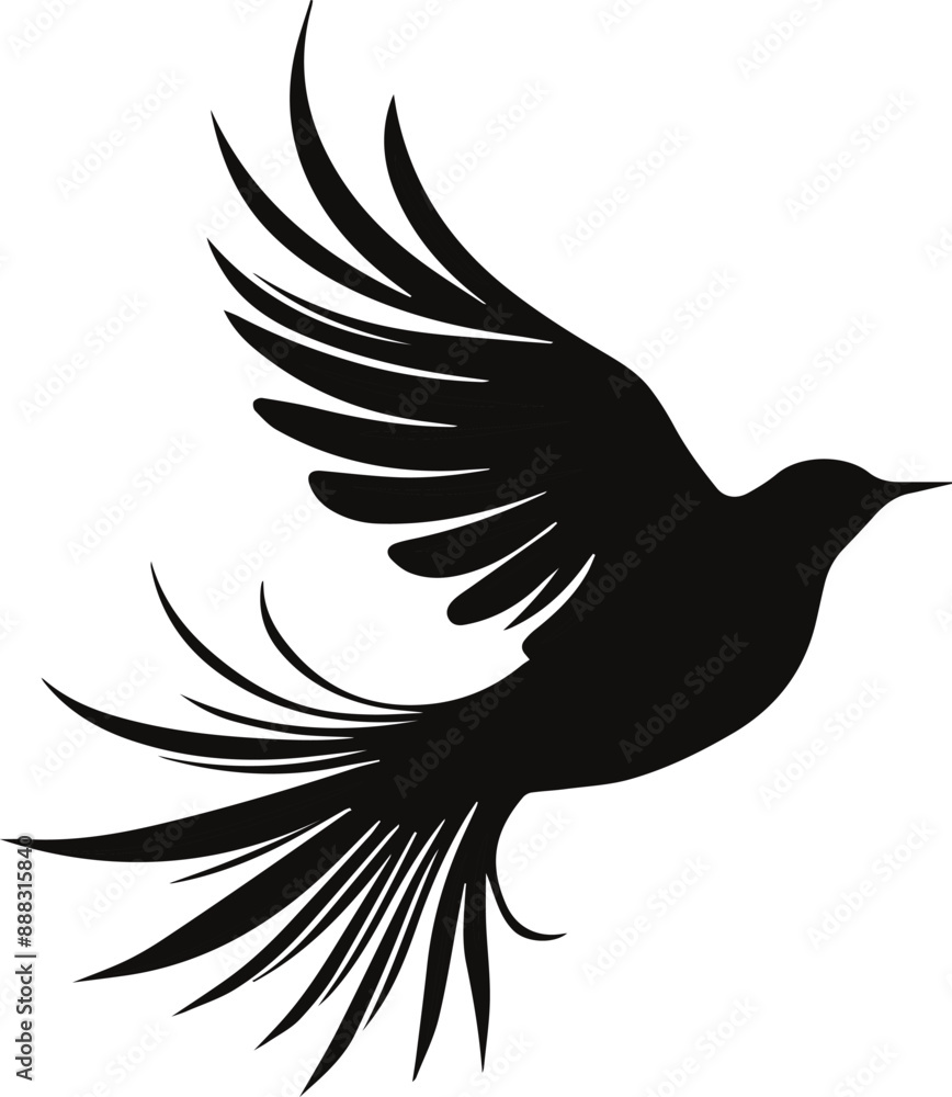 Bird black vector illustration Bird black vector illustration