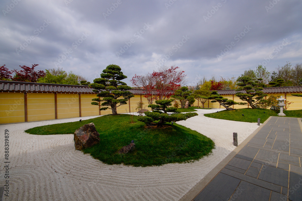 Bonsai pines Pinus mugo or mountain pine in dry landscaped japanese garden in the public landscape park.