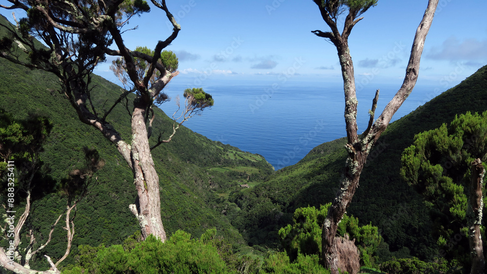 Obraz premium View of the hiking trail starting in Serra do Topo - Caldeira Santo Cristo - Fajã dos Cubres in São Jorge island, Azores, Portugal.