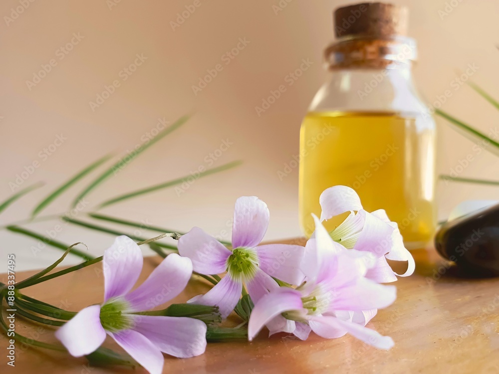 Purple wildflowers and background with bottle of natural oil Purple wildflowers and background with bottle of natural oil