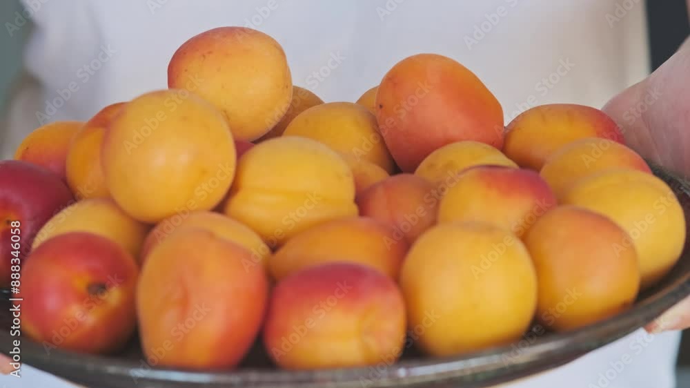 The girl with the apricot plate The girl with the apricot plate