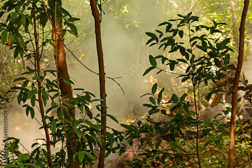 volcanic steam pool in the Rincon de la Vieja national park in Costa Rica