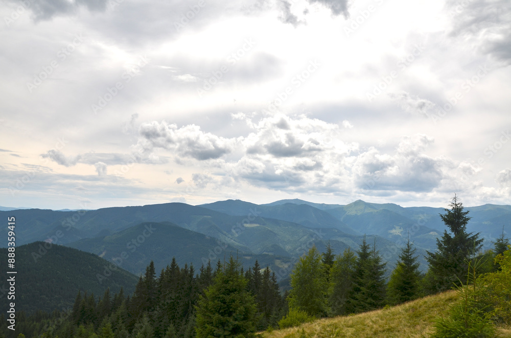 Landscape of rolling hills and grassy slopes сovered coniferous trees on the background of multiple mountain ridges in the distance under overcast sky. Carpathian Mountains, Ukraine Landscape of rolling hills and grassy slopes сovered coniferous trees on the background of multiple mountain ridges in the distance under overcast sky. Carpathian Mountains, Ukraine