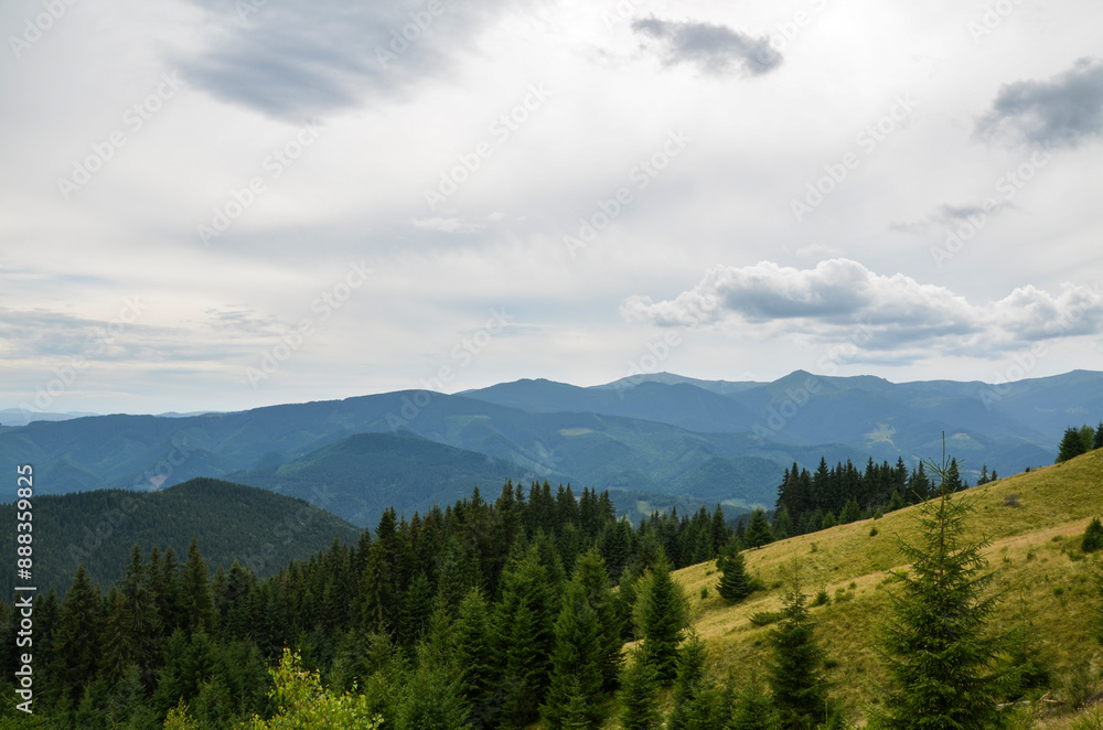Landscape of rolling hills and grassy slopes сovered coniferous trees on the background of multiple mountain ridges in the distance under overcast sky. Carpathian Mountains, Ukraine Landscape of rolling hills and grassy slopes сovered coniferous trees on the background of multiple mountain ridges in the distance under overcast sky. Carpathian Mountains, Ukraine