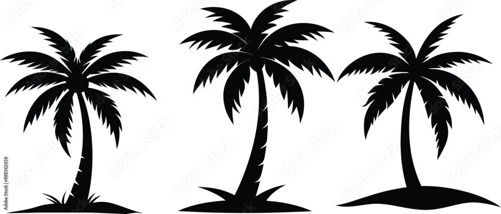 Fototapeta premium palm tree silhouette vector illustration