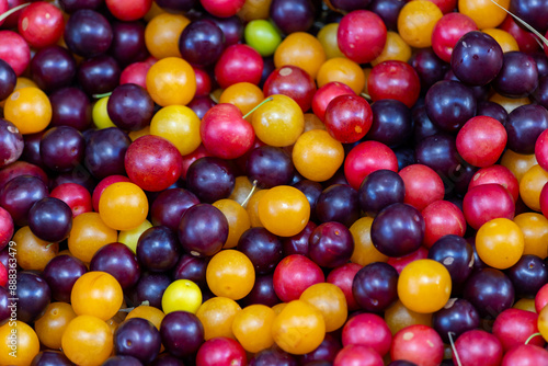 Ripe cherry plum fruit close-up. Organic fruits.