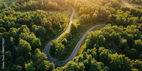 Drone shoot above colorful green texture in nature. Summer in forest aerial top view. Winding road and forest trees. Soft light in countryside woodland or park