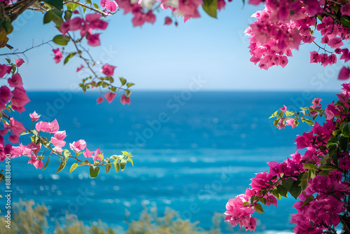 Tropical Tranquility: Bougainvillea and Ocean View