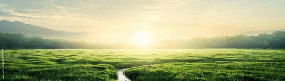 Breathtaking sunrise over lush green meadow with a small stream, surrounded by trees and mountains, under a stunning sky. Breathtaking sunrise over lush green meadow with a small stream, surrounded by trees and mountains, under a stunning sky.