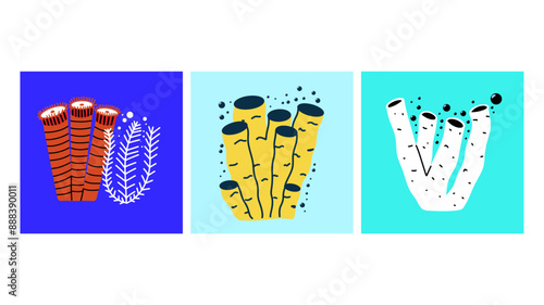 Set illustrations of sea corrals and algae in modern flat design. Postcards with marine life. Vector illustration.