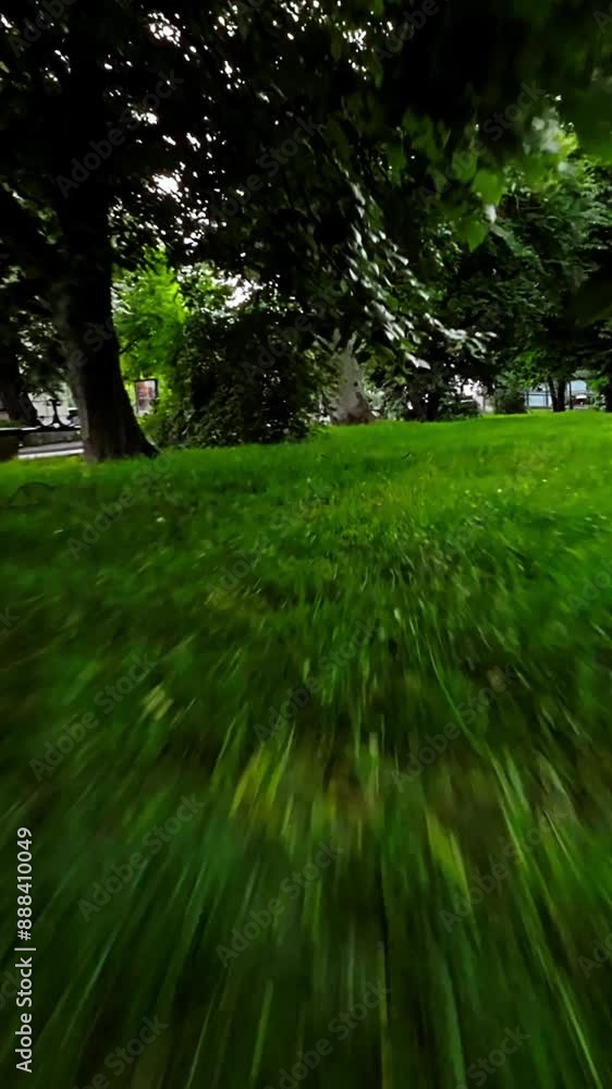 A video showcasing the beautiful Budapest City Park, Hungary, with its lush green trees, colorful flowers, and tranquil lake. The park is a popular destination for locals and tourists alike, offering A video showcasing the beautiful Budapest City Park, Hungary, with its lush green trees, colorful flowers, and tranquil lake. The park is a popular destination for locals and tourists alike, offering