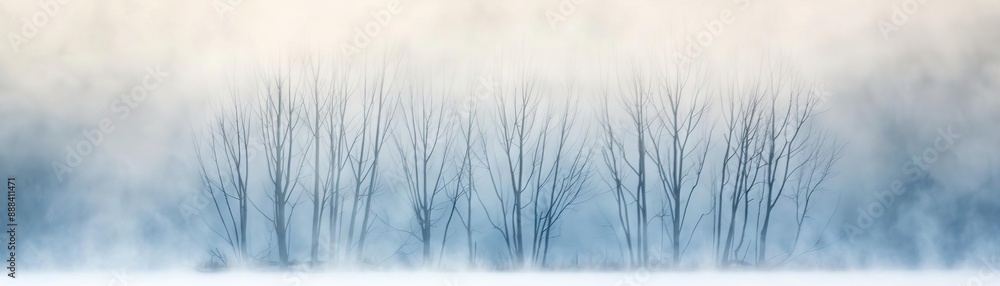 Obraz premium Winter landscape with bare trees enveloped in fog and mist, creating a serene and tranquil atmosphere.