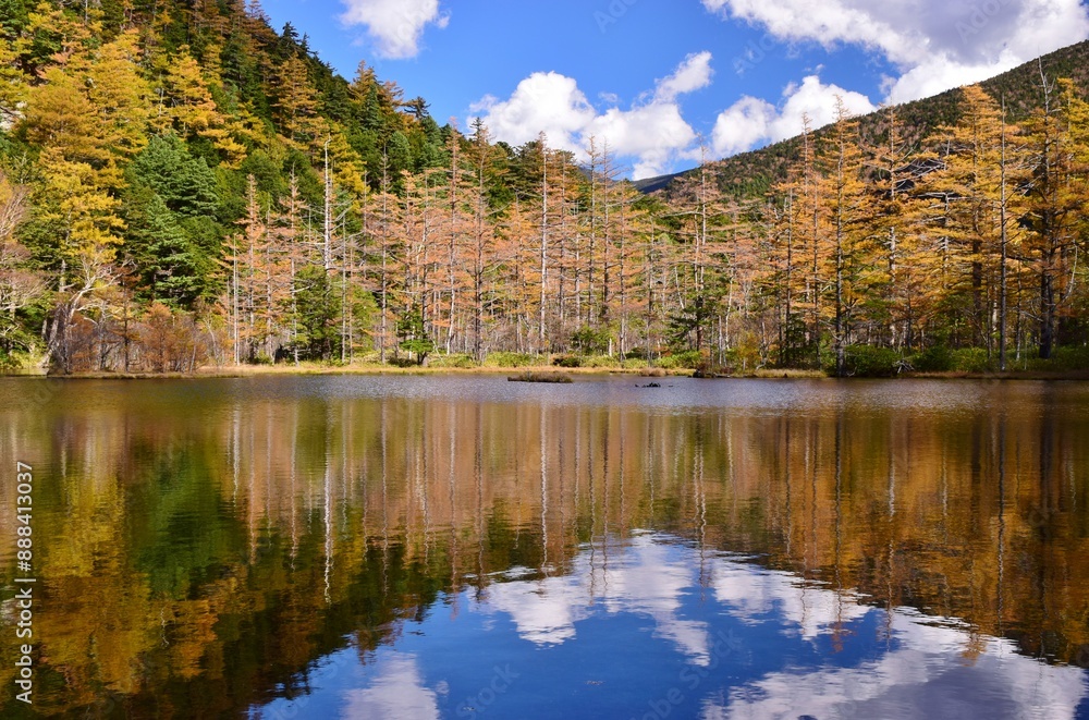 Fototapeta premium 紅葉の上高地・明神池