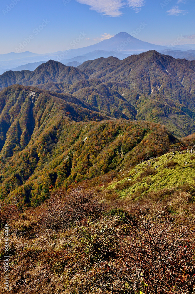 秋の丹沢山地 紅葉の蛭ヶ岳山頂より西丹沢と富士山を望む
秋の丹沢山地 紅葉の蛭ヶ岳山頂より西丹沢と富士山を望む