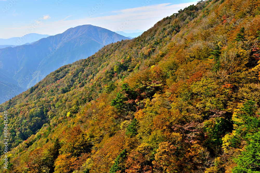 Fototapeta premium 紅葉の丹沢山地 丹沢主脈の姫次より望む大室山