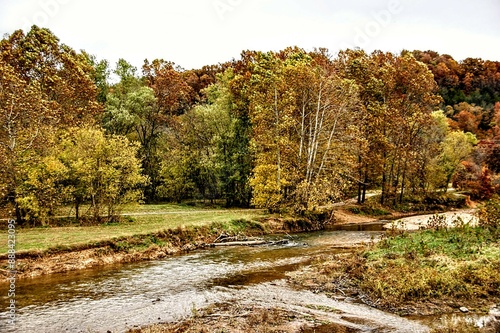 River and Colorful Leaves and Trees Create a Scenic Autumn View on a Sunny Day