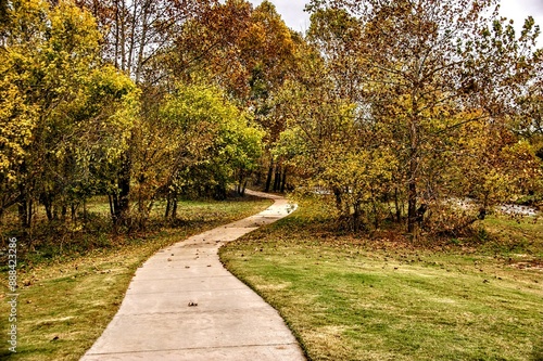 Autumn Path Hike Among the Colorful Leaves in Fall