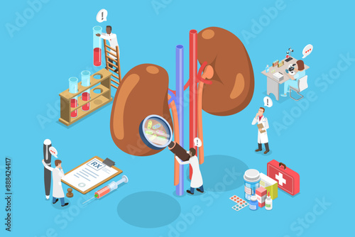 3D Isometric Flat Vector Illustration of Treatment of Kidneys, Nephrology and Urology