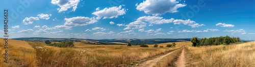 Panoramic View of a Country Road