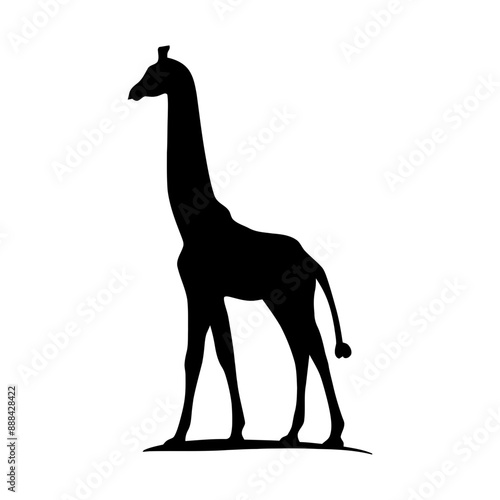 giraffe  Vector