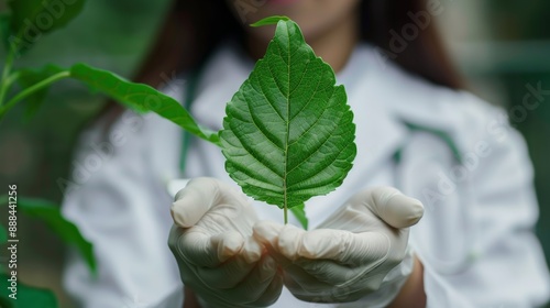 Free photo closeup of biologist woman hands holding medical sample of green leaf discovering genetic mutation  photo