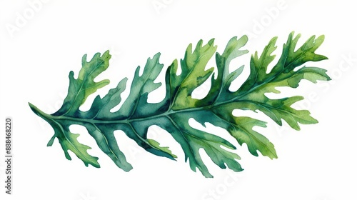 Wallpaper Mural A seaweed leaf depicted with vibrant watercolor textures isolate on white background Torontodigital.ca