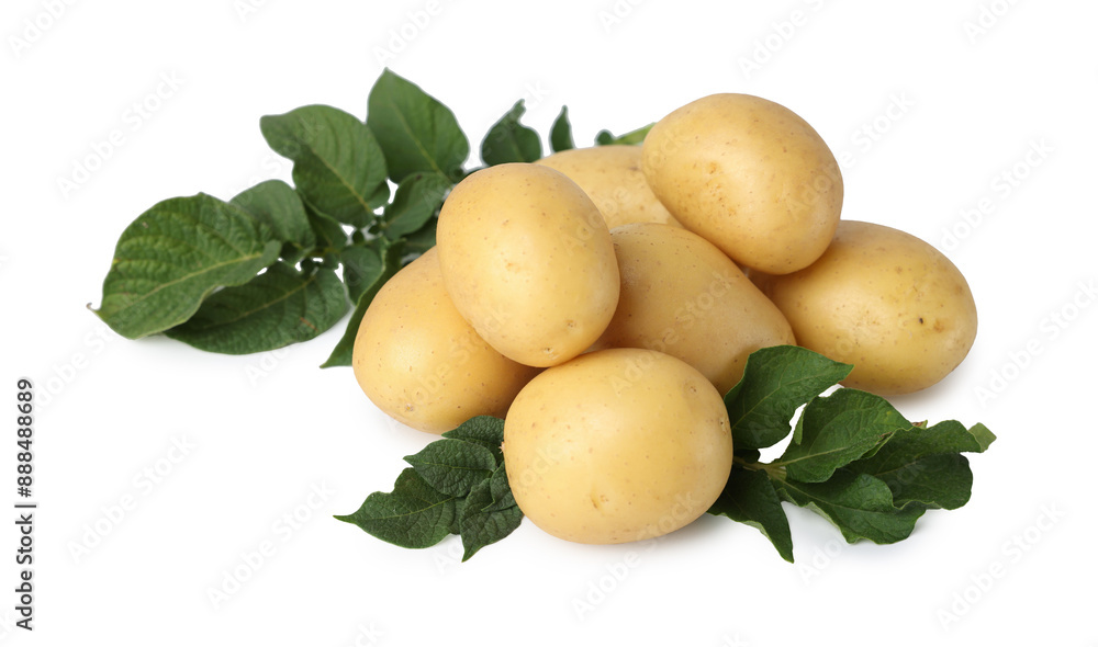 Fresh raw potatoes and green leaves isolated on white Fresh raw potatoes and green leaves isolated on white
