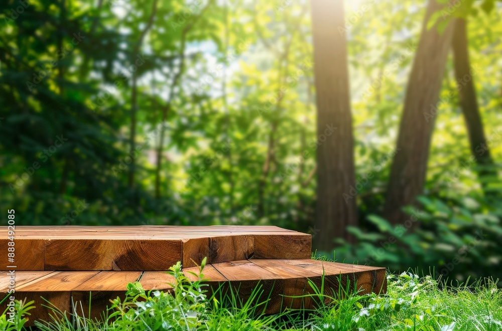 Naklejka premium This UHD image showcases the natural beauty of a wooden podium amidst the vibrant tapestry of a garden forest.
