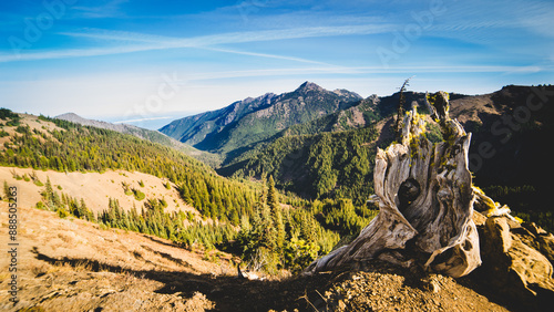 Mountain top view with old stump, hiking adventure